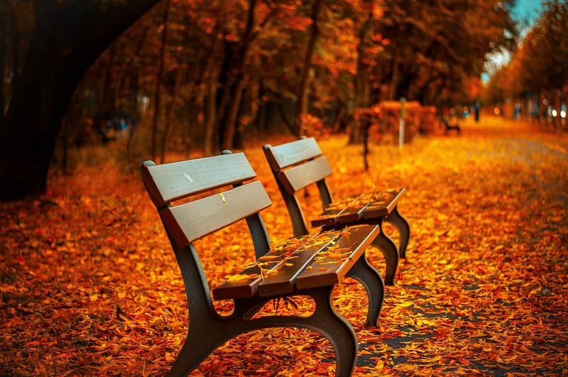 Repainted Wooden Bench