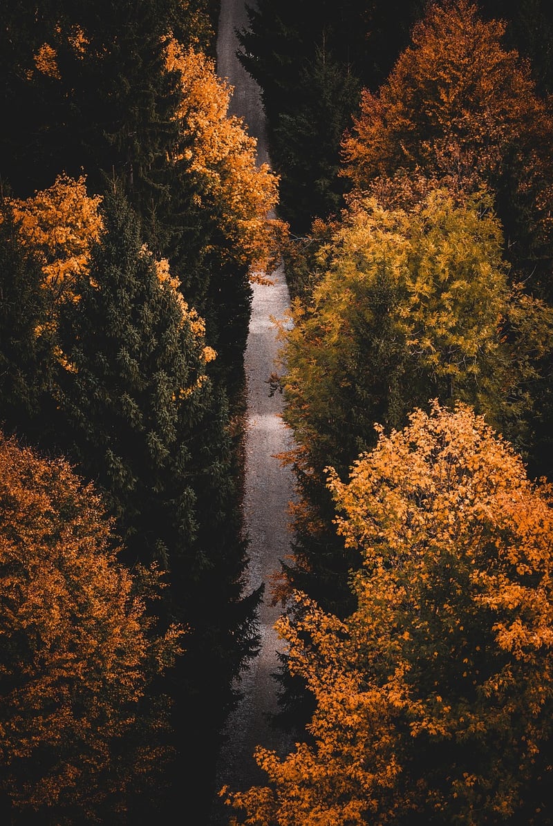 Hiking Trail